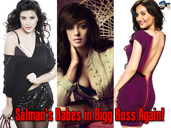 Salman's Babes in Bigg Boss Again!