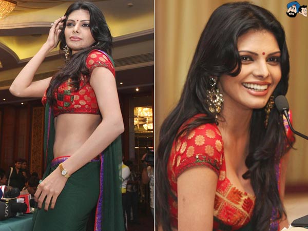 Saari Clad Indian Diva 