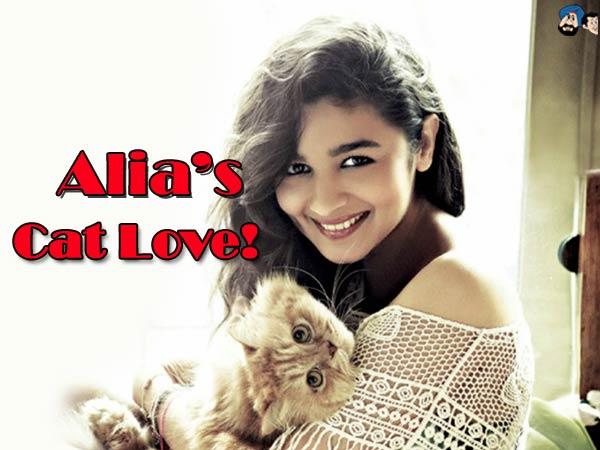 Alia's Cat Love!
