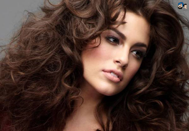 The Plus Sized Model