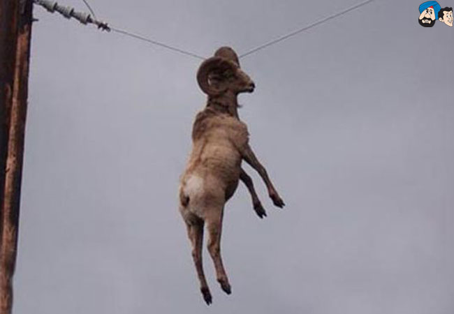 How the heck did this happen??