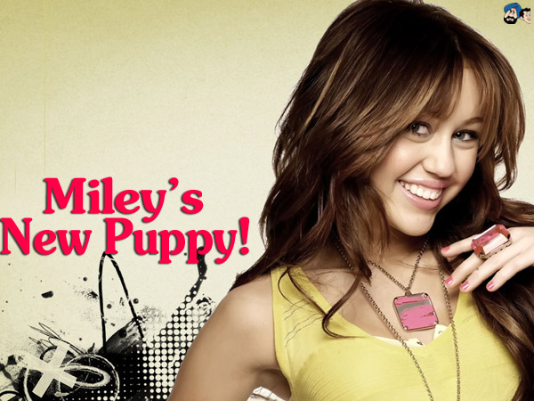 Miley's new Puppy!
