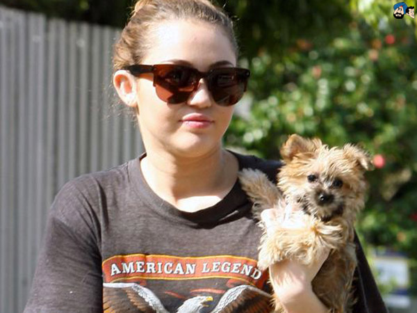 ​एक और दोस्त 