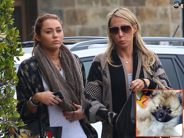 माँ की देखभाल 