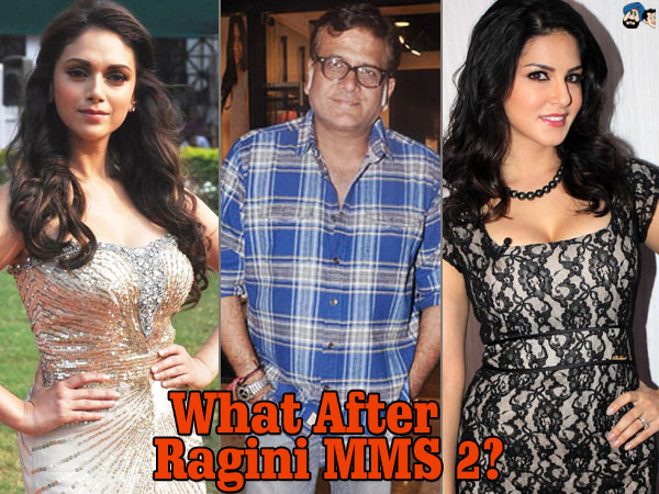 What after Ragini MMS 2?