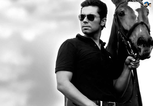 Horsing Around