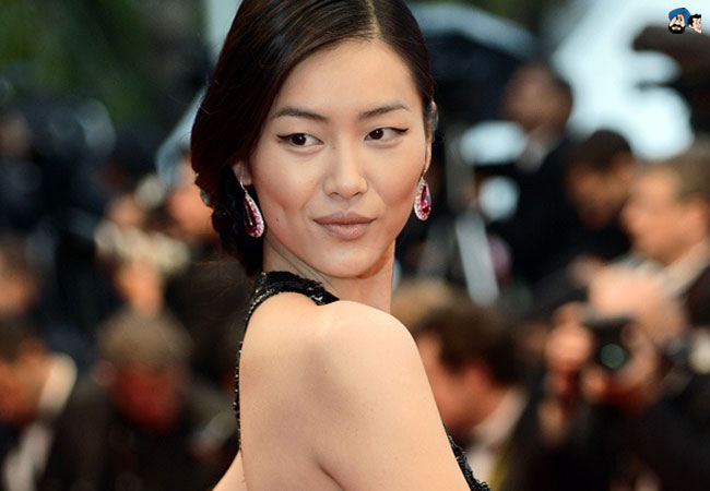 Liu Wen