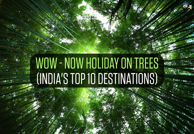 Wow - Now Holiday on Trees (India's top 10 Destinations)