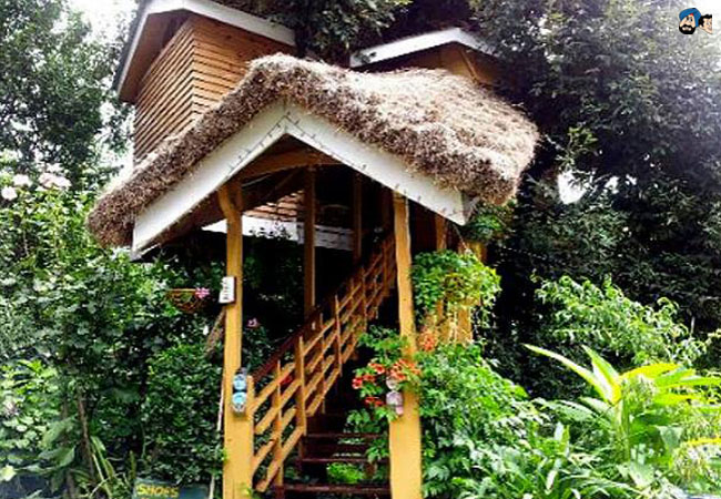 Manali Tree House Cottages, Himachal Pradesh