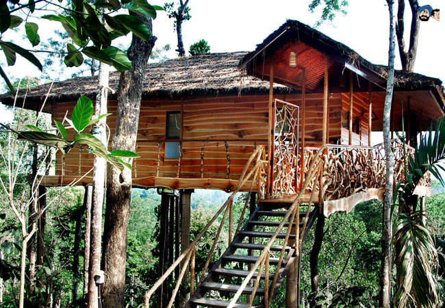 Tranquil Resort, Kolagappara, Kerala
