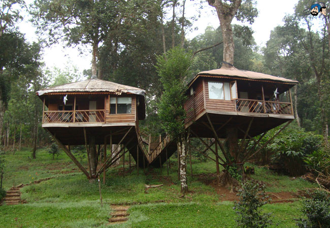 Nature Zone Resort, Munnar, Kerala