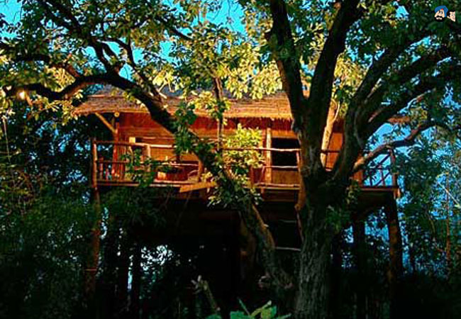 Tree House Hideaway, Bandhavgarh
