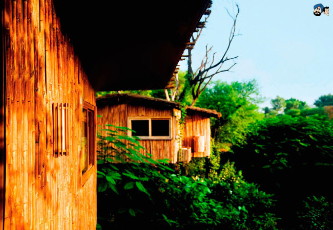 Tree House Resort, Jaipur, Rajasthan