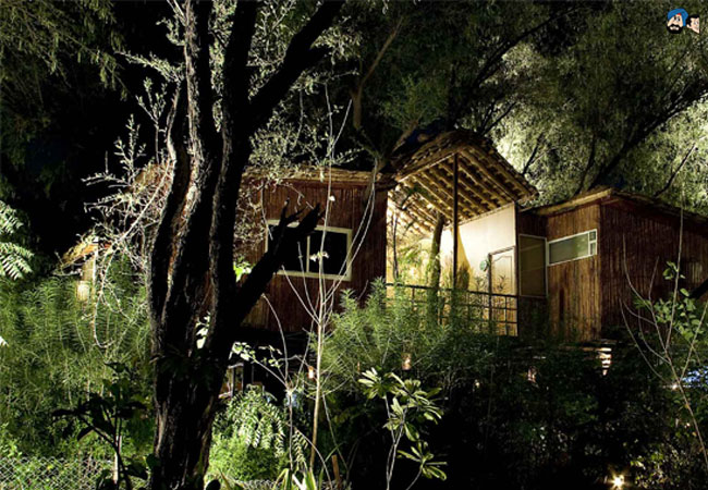 Safari Land Resort, Masinagudi, Tamil Nadu