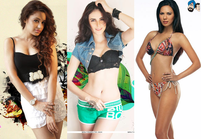 Revealed! Final List of Bigg Boss 9 Contestants