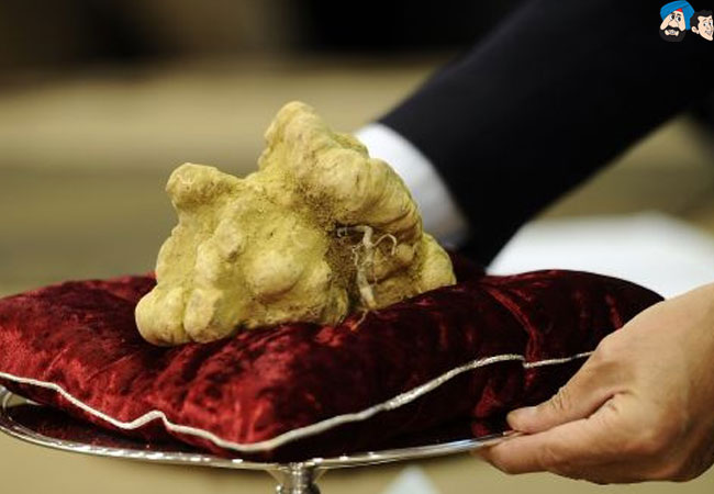 No 1. Italian White Alba Truffle - $160,406