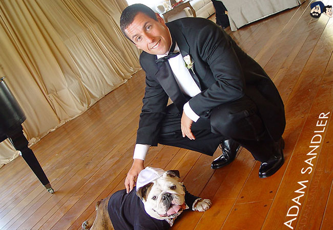 Adam Sandler (tie) (Earnings: $57 million)