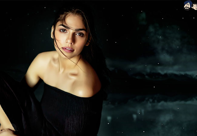 Sharmin Segal
