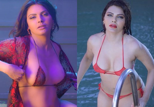 How Sherlyn Chopra is rocking Instagram with her raunchy videos?