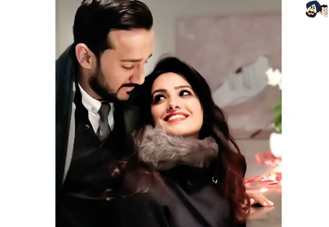 Anita Hassanandani - Rohit Reddy