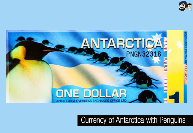 Currency of Antarctica with Penguins