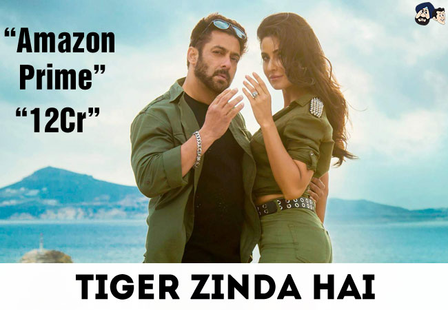 Tiger Zinda Hai