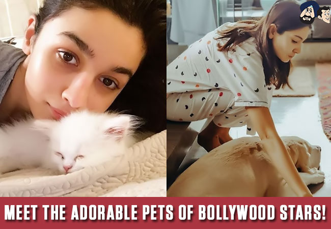 Meet the adorable pets of Bollywood stars!