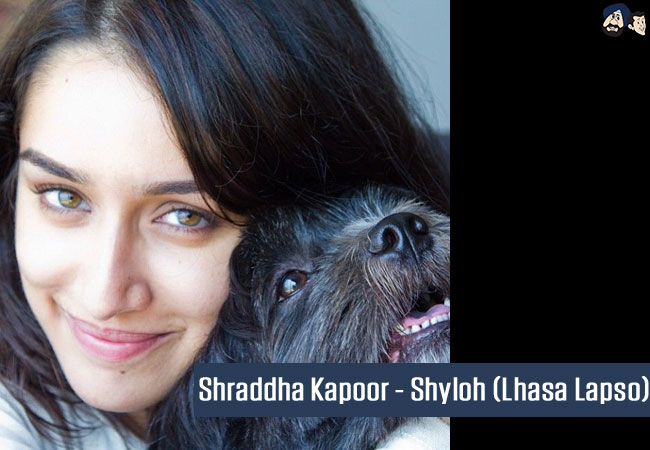 Shraddha Kapoor - Shyloh (Lhasa Lapso)