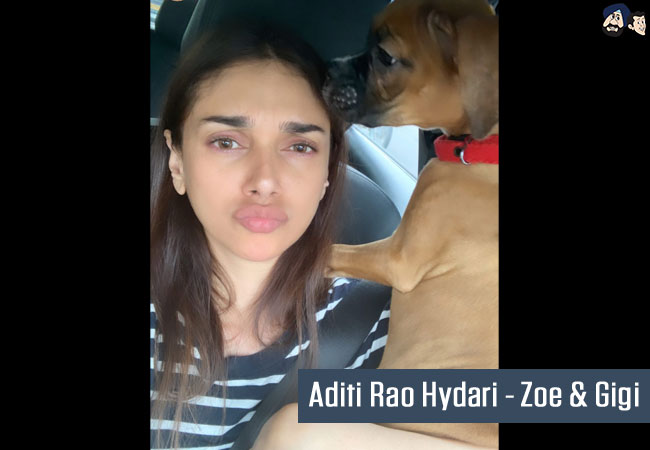 Aditi Rao Hydari - Zoe & Gigi