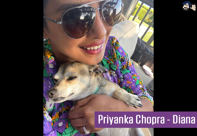 Priyanka Chopra - Diana