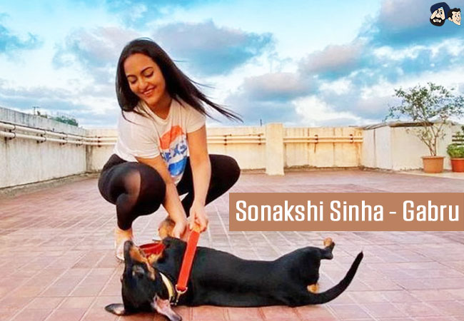 Sonakshi Sinha - Gabru