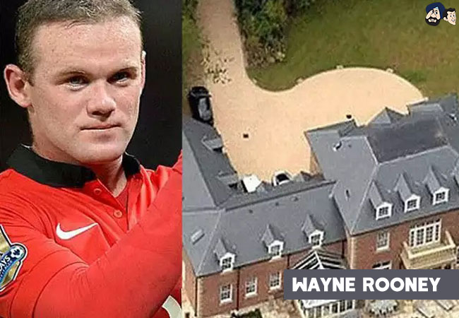 Wayne Rooney