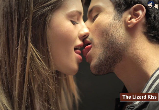 The Lizard Kiss