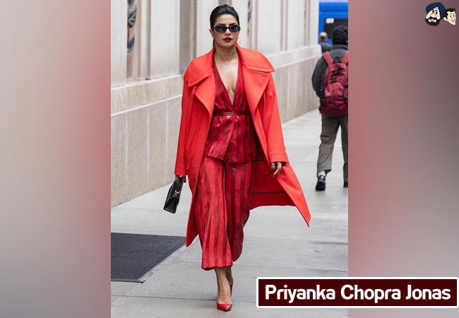 Priyanka Chopra Jonas