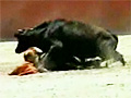 Matador Sexually Abused