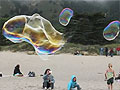 Giant Bubbles on Beach