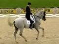 Hip Hop Dressage