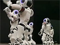 Dance Of Small Robots