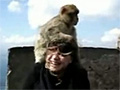 Girl Can't Get Rid of Monkeys