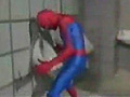 Spiderman In Toilet