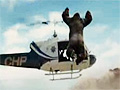 Rise of The Planet of The Apes Promo