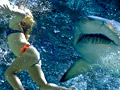 Shark Night 3D Trailer