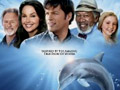 Dolphin Tale Trailer