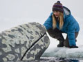 Big Miracle Trailer