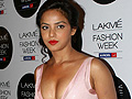 Lakme Fashion Week Day 3