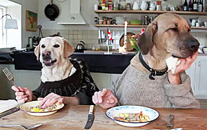 Two Dogs Dining