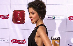 Stardust Awards 2013