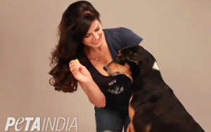 Animals Need Safe Sex, Too: Sunny Leone