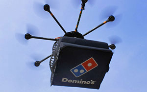 The DomiCopter