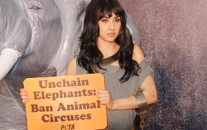 PETA's Anti Circus Campaign